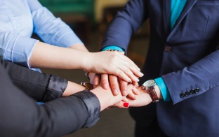 SEO Services Consultants